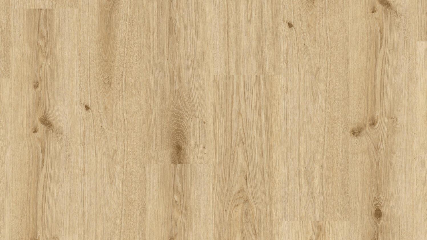 Tarkett Essence 55 4V Plank Glue-Down Primary Oak LT Brown 260053005 20x120 2,2mm LVT obloga koja se lepi 4.080 244.800