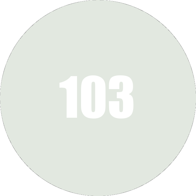 Mapei UltraColor Plus (103) Moon White - mesečeva bela 2kg cementna masa za fugovanje brzovezujuća i brzosušeća, vodoodbojna, otporna na buđ i iscvetavanje soli za fuge do 20mm